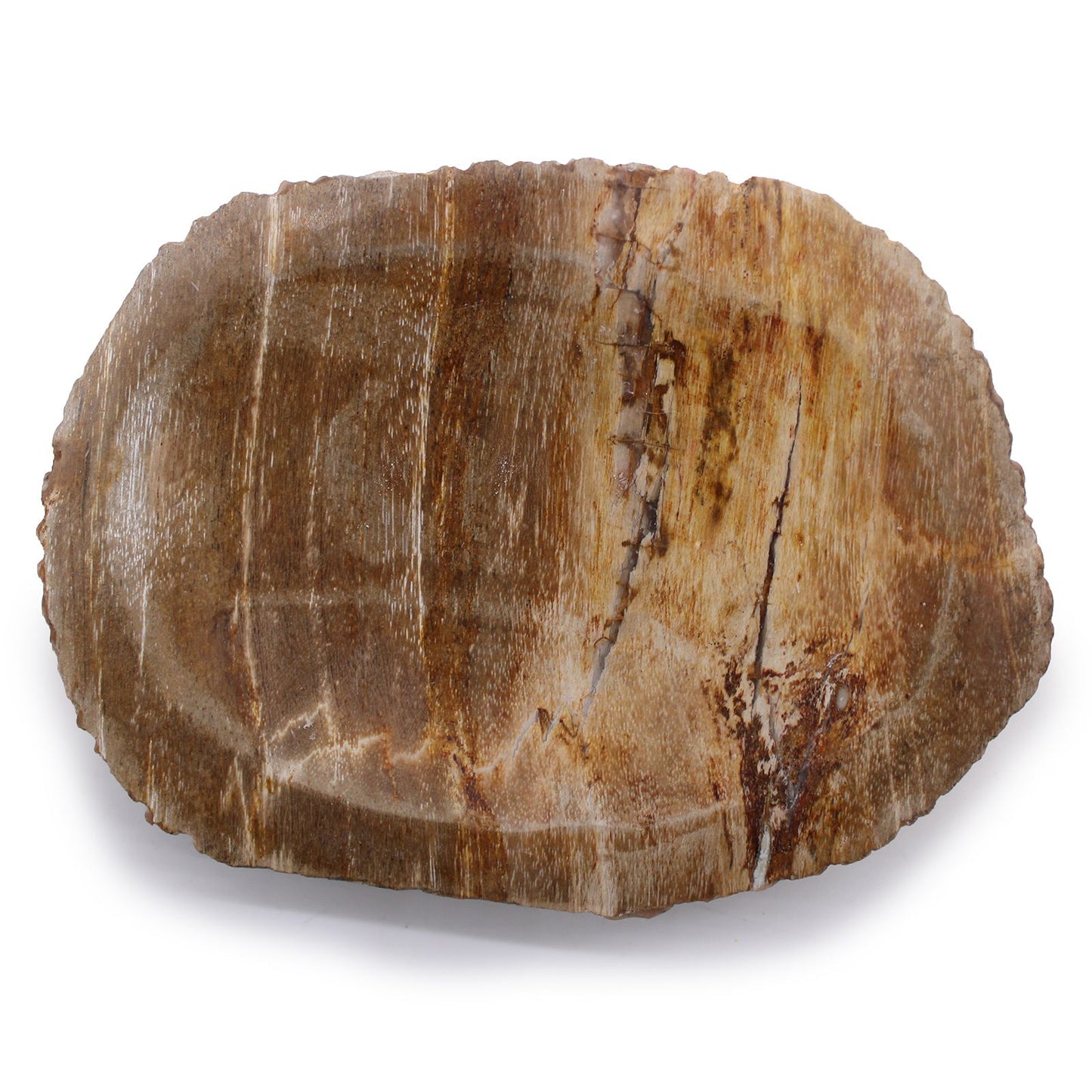 Petrified Wood Soap Dish