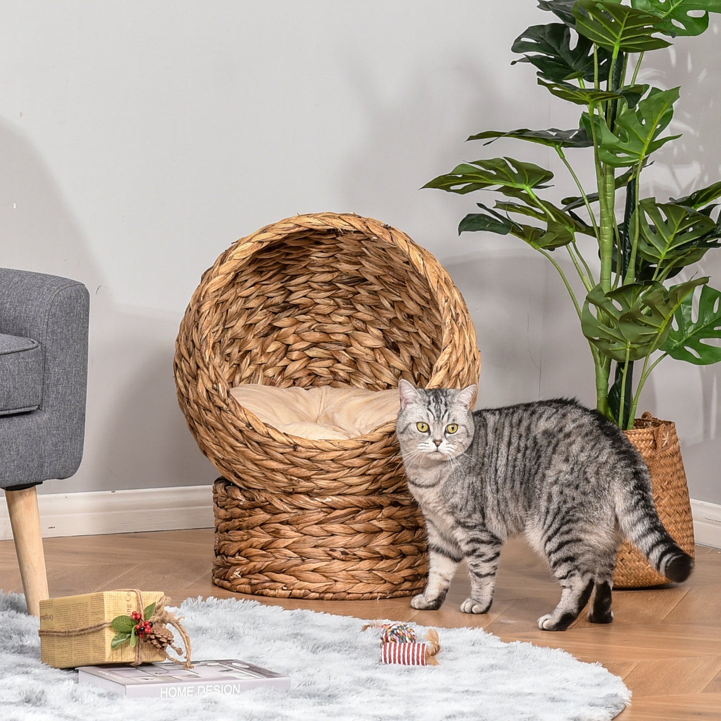 Raised Rattan Cat Basket With Cylindrical Base & Cushion